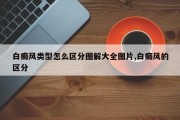 白癜风类型怎么区分图解大全图片,白癜风的区分