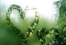 白癜风类型怎么区分好坏图片对比图,白癜风的区分